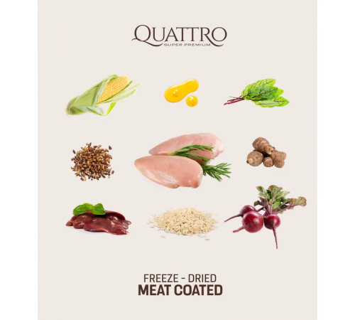 Quattro Cat Adult Chicken корм для дорослих котів від 1 року з куркою 1,5 кг