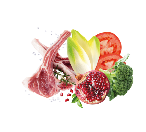 Exclusion Adult Lamb Small Breed корм для дорослих собак дрібних порід з ягням 500 г