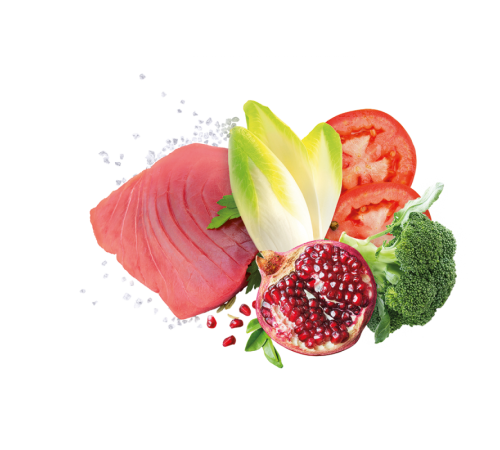 Exclusion Adult Tuna Medium Breed корм для дорослих собак середніх порід з тунцем 12 кг