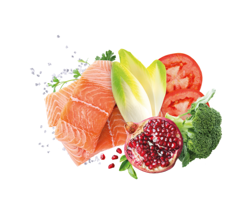 Exclusion Adult Salmon корм для дорослих собак всіх порід з лососем 400 г