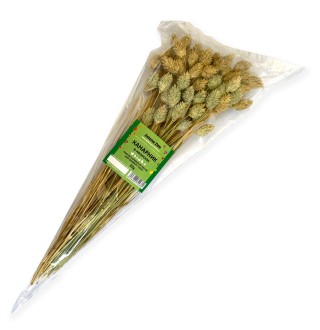 Zelena Zoo Канарник в колосках 30 г