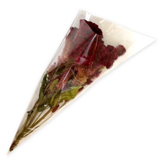 Zelena Zoo Целозія гребінчаста (родина Амарантові) 30 г