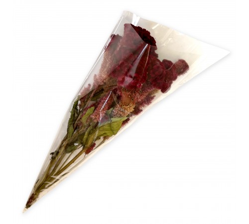 Zelena Zoo Целозія гребінчаста (родина Амарантові) 30 г