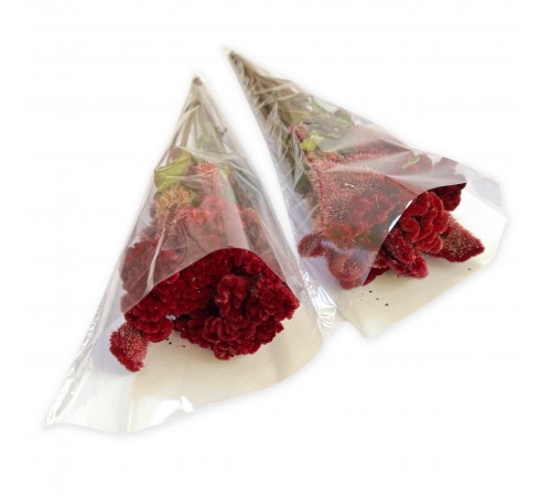 Zelena Zoo Целозія гребінчаста (родина Амарантові) 30 г