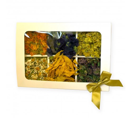 Zelena Zoo Подарунковий Квітковий набір