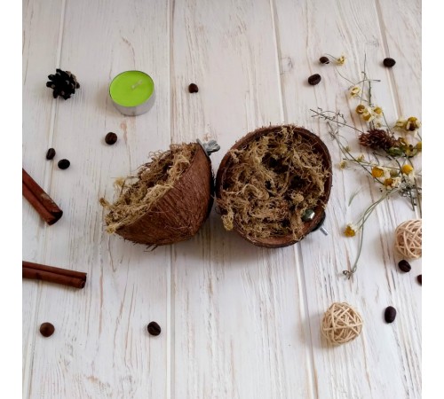 Zelena Zoo.Гніздо із Кокоса для пташок, наповнювач: мох сфагнум