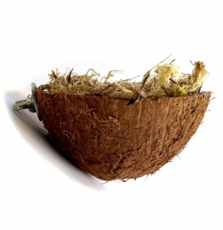 Zelena Zoo.Гніздо із Кокоса для пташок, наповнювач: мох сфагнум