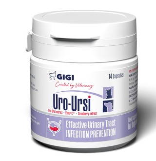 GiGi Uro-Ursi N14 caps. / Уро-Урсі N14 капс.