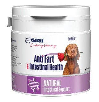 GiGi Anti Fart & intestinal Health 117 g (powder) / Анти Фарт & Інтестінал Хелс 117 г (порошок)