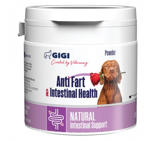 GiGi Anti Fart & intestinal Health 117 g (powder) / Анти Фарт & Інтестінал Хелс 117 г (порошок)