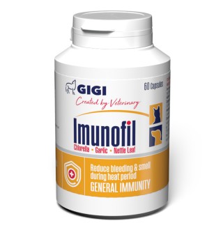 GiGi Imunofil N60 caps / Імунофіл N60 (капс.)