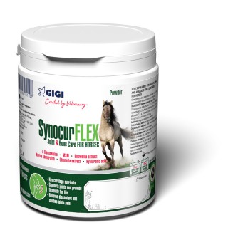 GiGi Synocur FLEX Joints&Bones 450 g (powder) / Cінокур ФЛЕКС Джойн & Бонс 450 г (порошок)