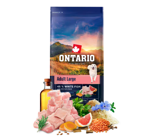 Ontario Adult Large Fish & Brown Rice.Сухий корм для дорослих собак великих порід з рибою та коричневим рисом , 12 кг