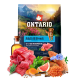 Ontario Adult All Breeds Monoprotein Сухий корм для дорослих собак усіх порід з тунцем та солодкою картоплею, 2.25 кг