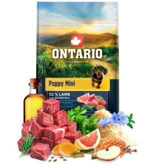 Ontario Puppy Small Lamb & Brown Rice. Сухий корм з ягням і коричневим рисом для цуценят малих порід, 750 г