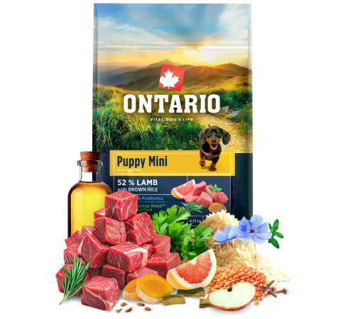 Ontario Puppy Small Lamb & Brown Rice. Сухий корм з ягням і коричневим рисом для цуценят малих порід, 750 г
