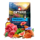 Ontario Ontario Puppy All Breeds Monoprotein Tuna & Sweet Potatoes Монопротеїновий корм для цуценят та юніорів для всіх порід з тунцем та солодкою картоплею 2,25 кг