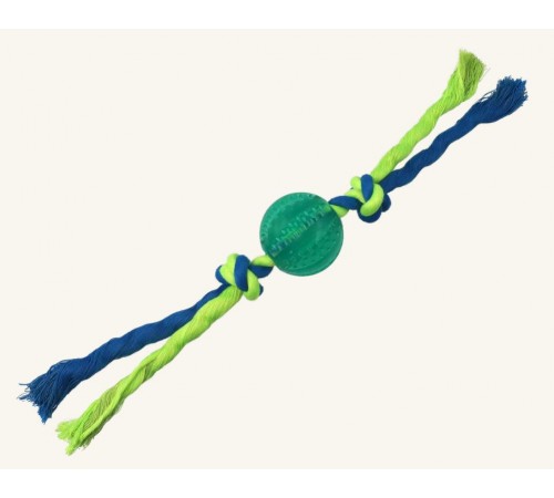 Dog Fantasy DentalМ'яч з мотузкою М'ятно-зелений 5x22см