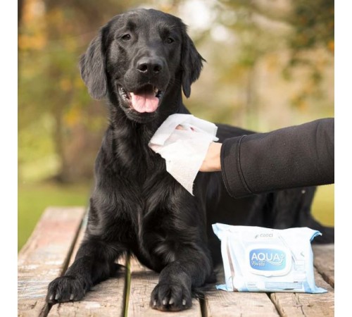 Croci Pet Wipes Aqua+ Sensitive - гігієнічні вологі серветки для тварин, 40шт