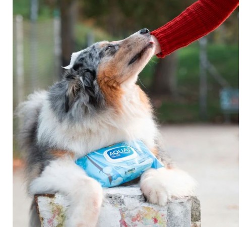 Croci Pet Wipes Aqua+ Sensitive - гігієнічні вологі серветки для тварин, 40шт