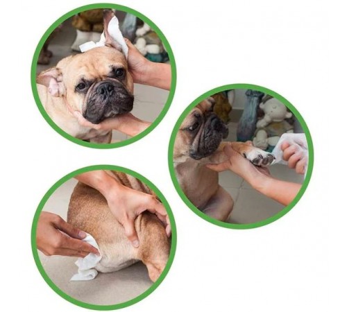 Croci Pet Wipes Eco Talc Flowers - гігієнічні вологі серветки з тальком і квітами для тварин, 30шт