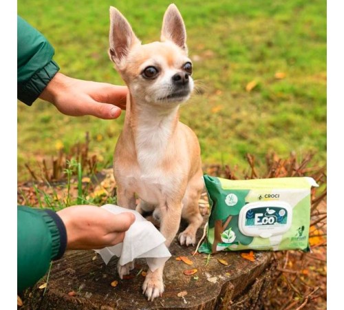 Croci Pet Wipes Eco Talc Flowers - гігієнічні вологі серветки з тальком і квітами для тварин, 30шт