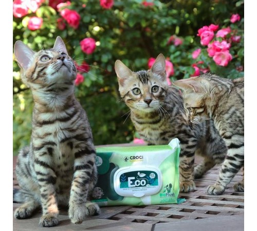 Croci Pet Wipes Eco Talc Flowers - гігієнічні вологі серветки з тальком і квітами для тварин, 30шт
