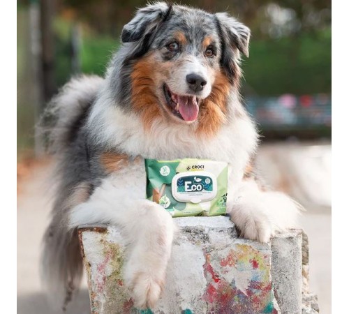 Croci Pet Wipes Eco Talc Flowers - гігієнічні вологі серветки з тальком і квітами для тварин, 30шт