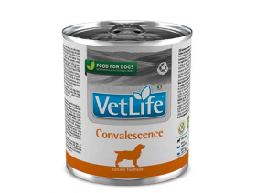 Farmina VetLife Natural Convalescence Dog - Консервований корм-дієта для собак  у період одужання, 300г