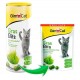GimСat GrasBits - вітамінізований смаколик з травою для котів 425 г