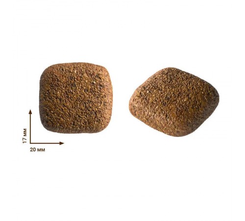 Home Food Adult Maxi - гіпоалергенний сухий корм з форелью та рисом для дорослих собак великих порід, 3кг