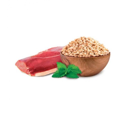 Home Food Adult Medium Maxi - сухий беззерновой гіпоалергенний корм з качкою та нутом для дорослих собак середніх й великих порід, 10кг
