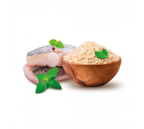 Home Food Hypoallergenic Adult Mini - гіпоалергенний сухий корм з фореллю та рисом для дорослих собак дрібних порід, 1,6кг