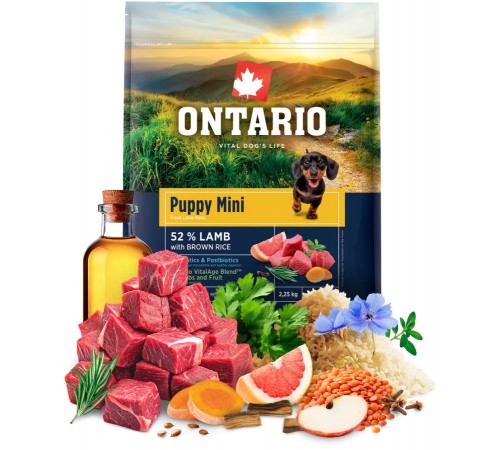 Ontario Puppy Mini Lamb with Brown Rice NEW - сухий корм для цуценят дрібних порід з ягням та коричневим рисом, 2,25кг