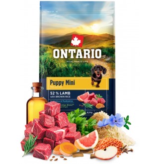 Ontario Puppy Mini Lamb with Brown Rice NEW - сухий корм для цуценят дрібних порід з ягням та коричневим рисом, 6,5кг