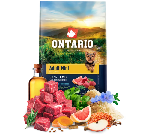 Ontario Adult Mini Lamb with Brown Rice NEW - сухий корм для дорослих собак дрібних порід з ягням та коричневим рисом, 750г