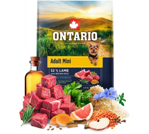 Ontario Adult Mini Lamb with Brown Rice NEW - сухий корм для дорослих собак дрібних порід з ягням та коричневим рисом, 2,25кг