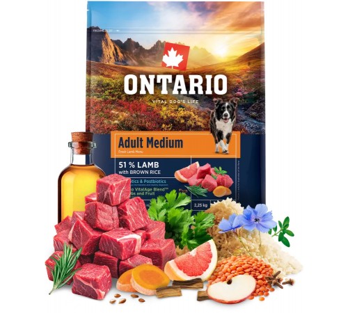 Ontario Adult Medium Lamb with Brown Rice NEW - сухий корм для дорослих собак середніх порід з ягням та коричневим рисом, 2,25кг