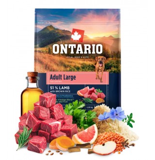 Ontario Adult Large Lamb with Brown Rice NEW - сухий корм для дорослих собак великих порід з ягням та коричневим рисом, 2,25кг
