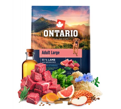 Ontario Adult Large Lamb with Brown Rice NEW - сухий корм для дорослих собак великих порід з ягням та коричневим рисом, 2,25кг
