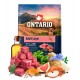 Ontario Adult Large Lamb with Brown Rice NEW - сухий корм для дорослих собак великих порід з ягням та коричневим рисом, 2,25кг
