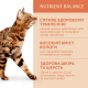 OptiMeal Adult Cats Rabbit in White sauce – консервований корм із кроликом у білому соусі для дорослих котів, 85г