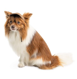 Кепка для собак Pet Fashion «Літня» трикотажна XS