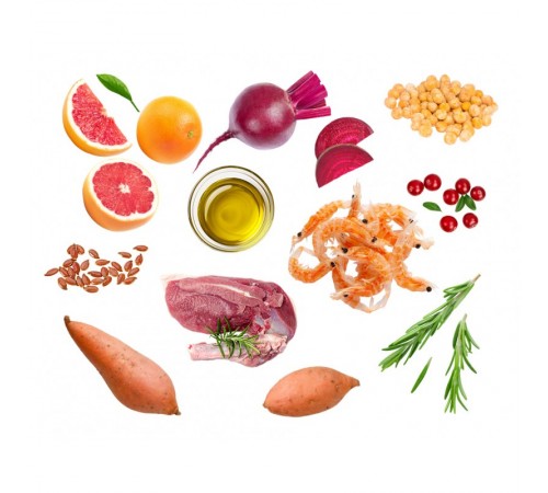 Quattro Junior Duck Small Breed - корм для цуценят дрібних порід від 2 до 12 місяців з качкою 1,5 кг