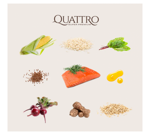 Quattro Adult Mini Salmon - корм для дорослих собак дрібних порід з лососем 7 кг