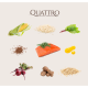 Quattro Adult Mini Salmon - корм для дорослих собак дрібних порід з лососем 7 кг
