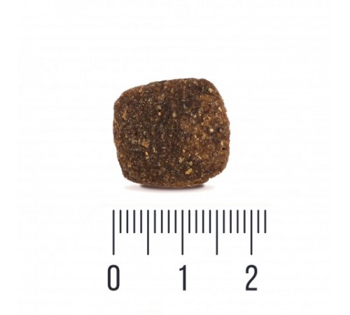 Quattro Adult All Breed Sensitive No Grain Lamb - беззерновий корм для собак усіх порід з чутливим травленням з ягням 1,5 кг