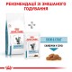Royal Canin Skin&Coat Cat - ветеринарна дієта для котів після стерилизації при дерматозі та випадінні шерсті 3,5 кг