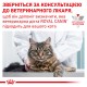 Royal Canin Skin&Coat Cat - ветеринарна дієта для котів після стерилизації при дерматозі та випадінні шерсті 3,5 кг