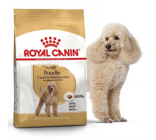 Royal Canin Poodle Adult - cухий корм з м'ясом птиці для дорослих собак породи Пудель 1,5 кг